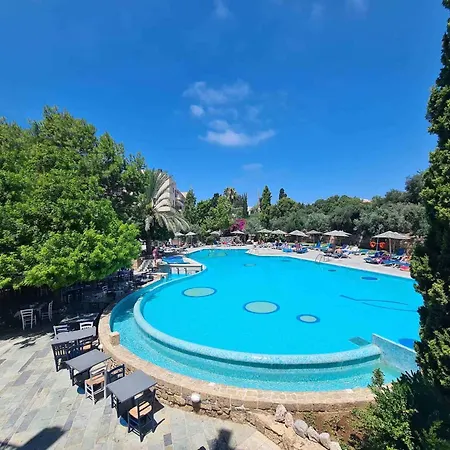 Basilica Holiday Paphos